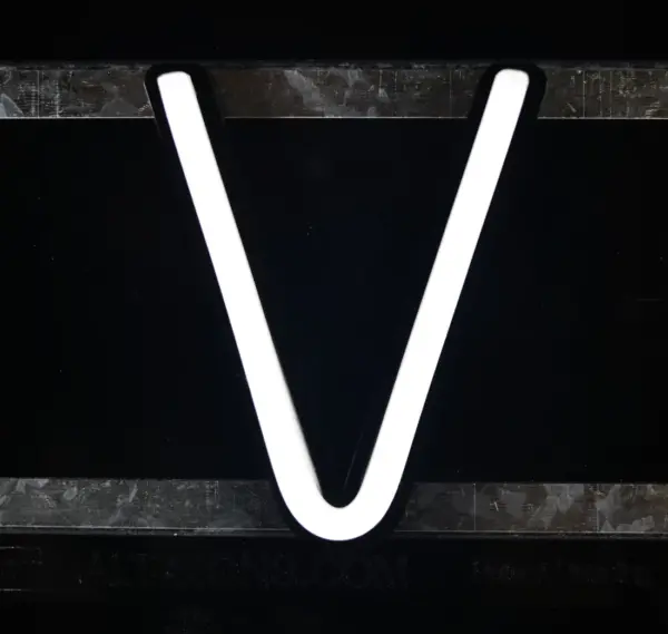 Letter V